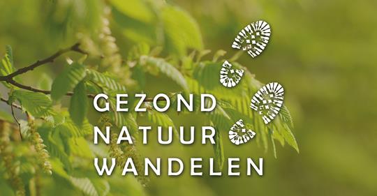 Wandelen. (Foto: aangeleverd)