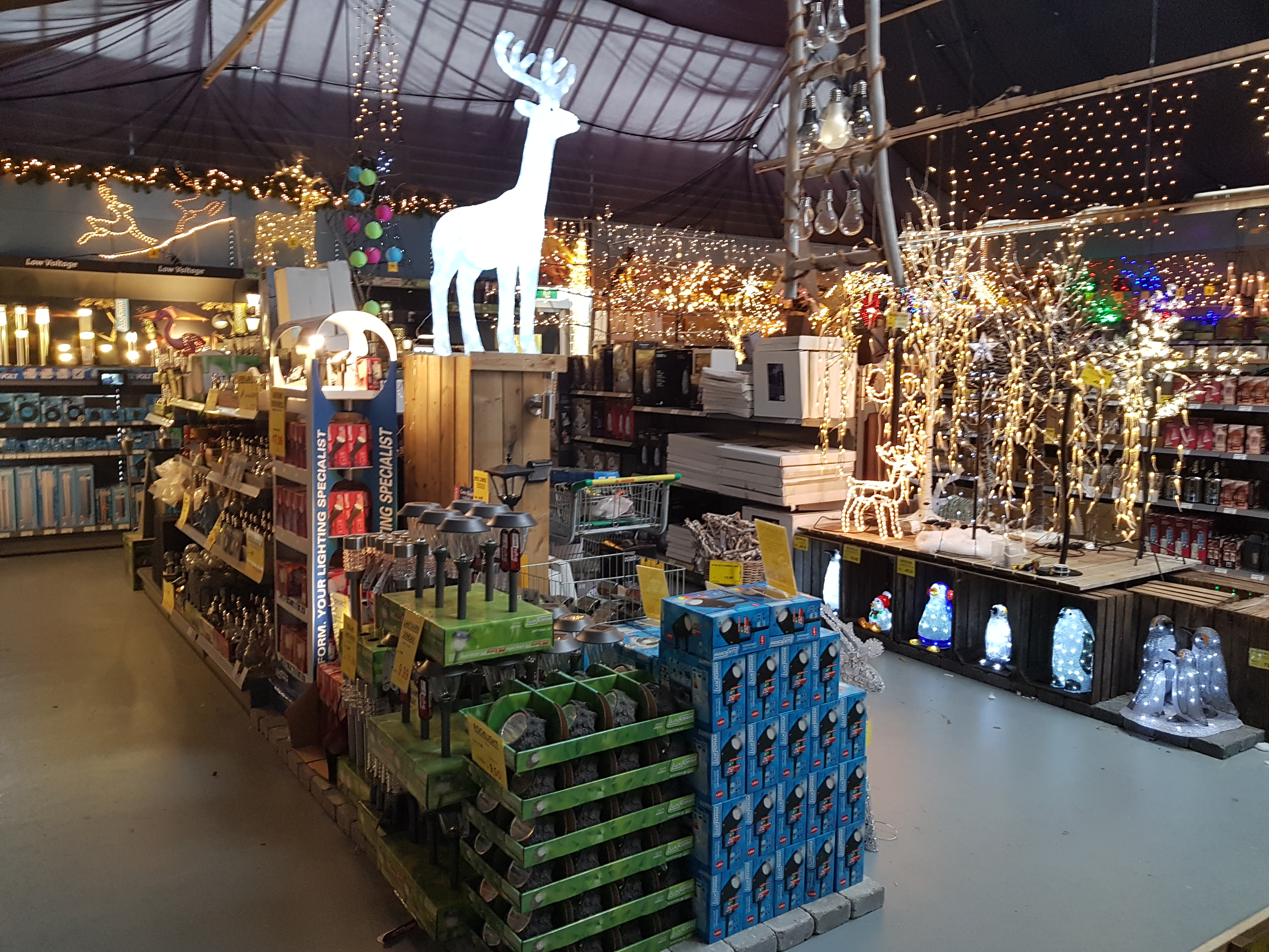 Het kerstassortiment in Tuincentrum de Oosteinde is bijzonder breed. (foto Rodi Media)