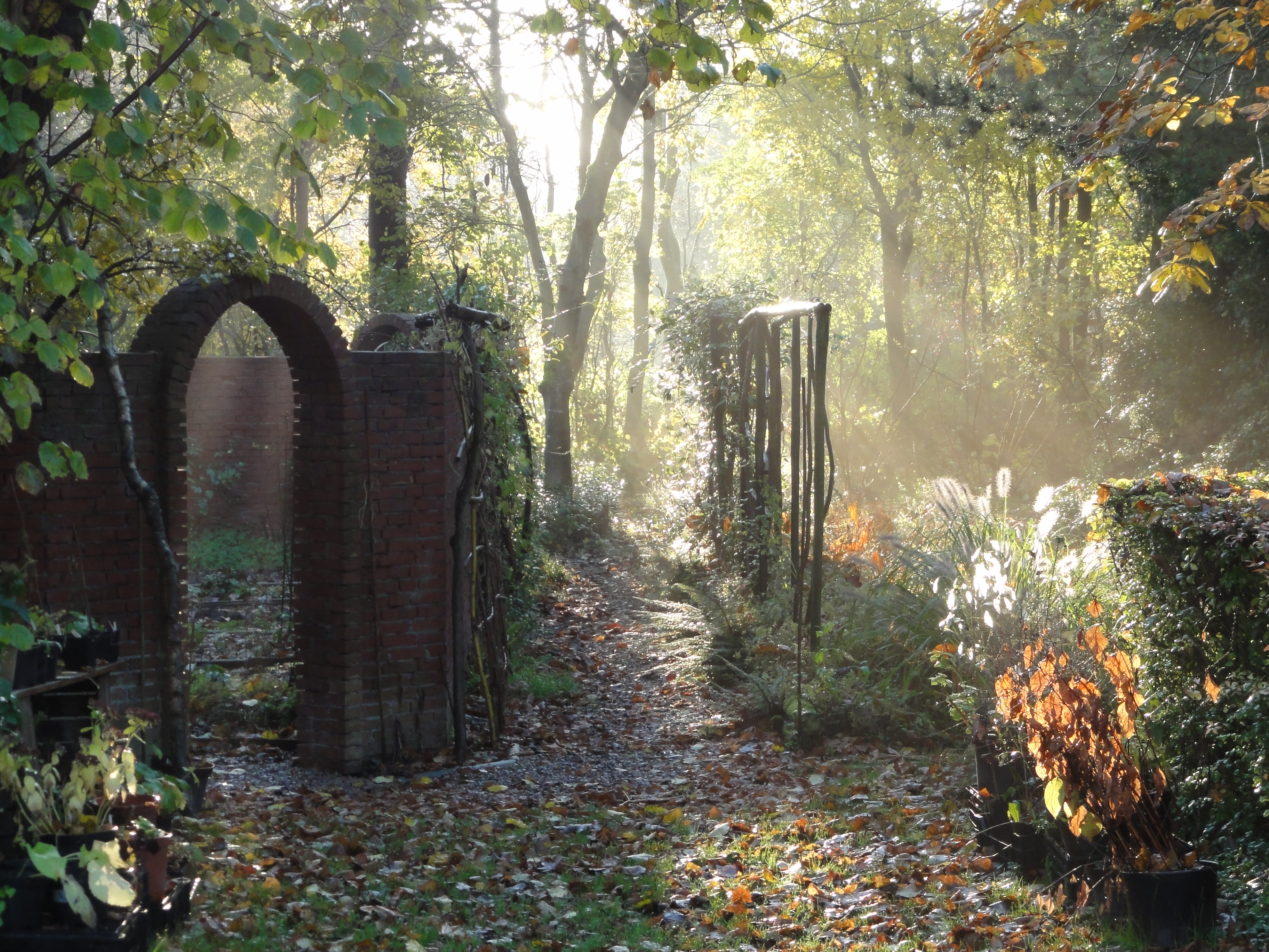 'In de herfst komt de natuur tot stilstand en neemt haar rust'. (Foto: aangeleverd)