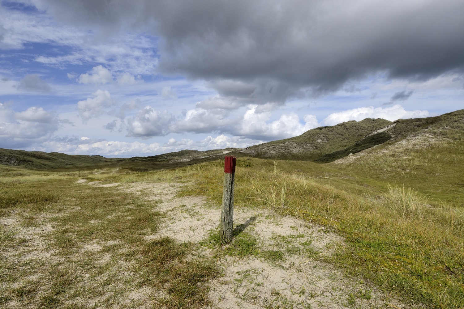 De Noordduinen. (Foto: Ronald van Wijk)