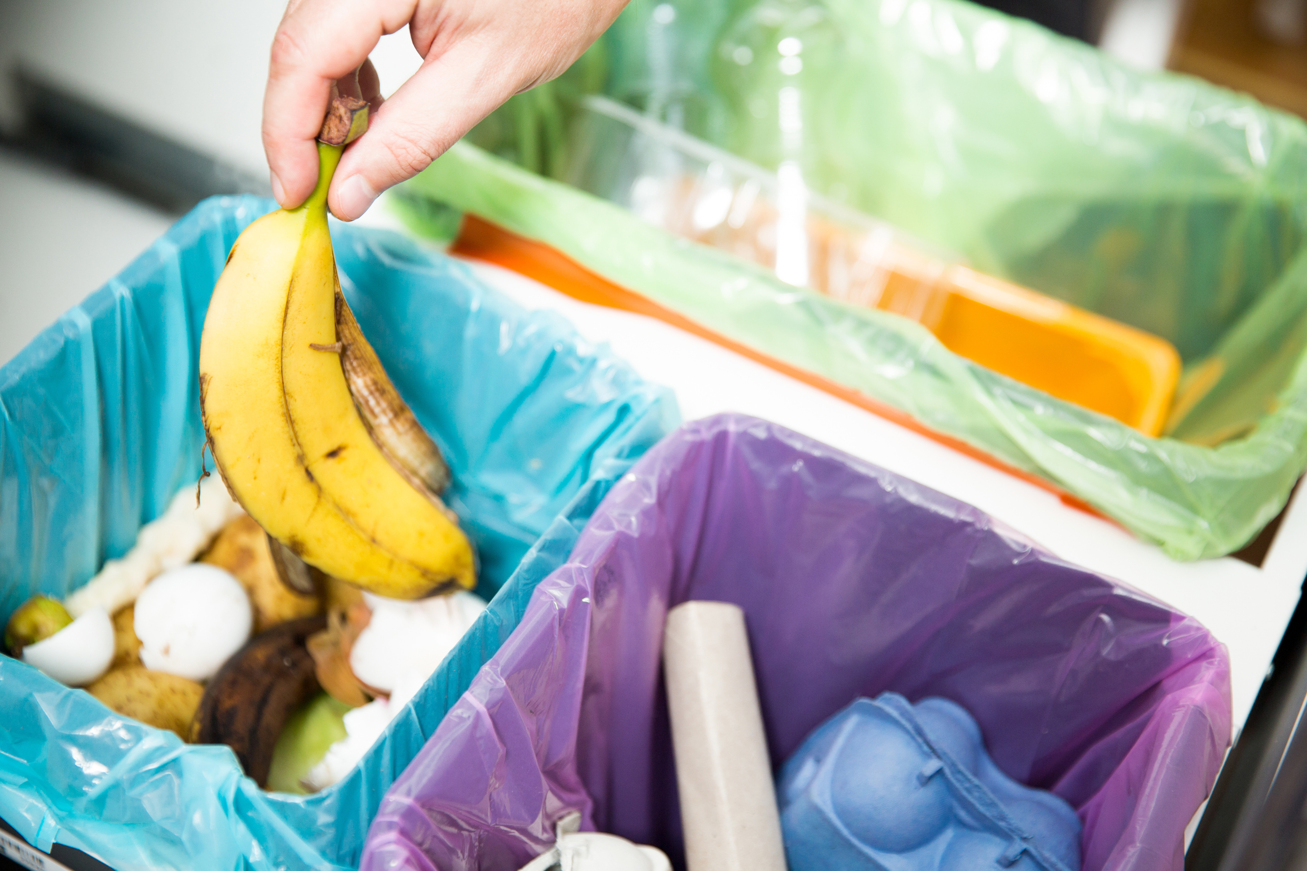 Papier, plastic en GFT; voor het Heerhugowaarders wordt het met de komst van de nieuwe rolcontainer met oranje deksel eenvoudiger om afval te scheiden. (Foto: AdobeStock)