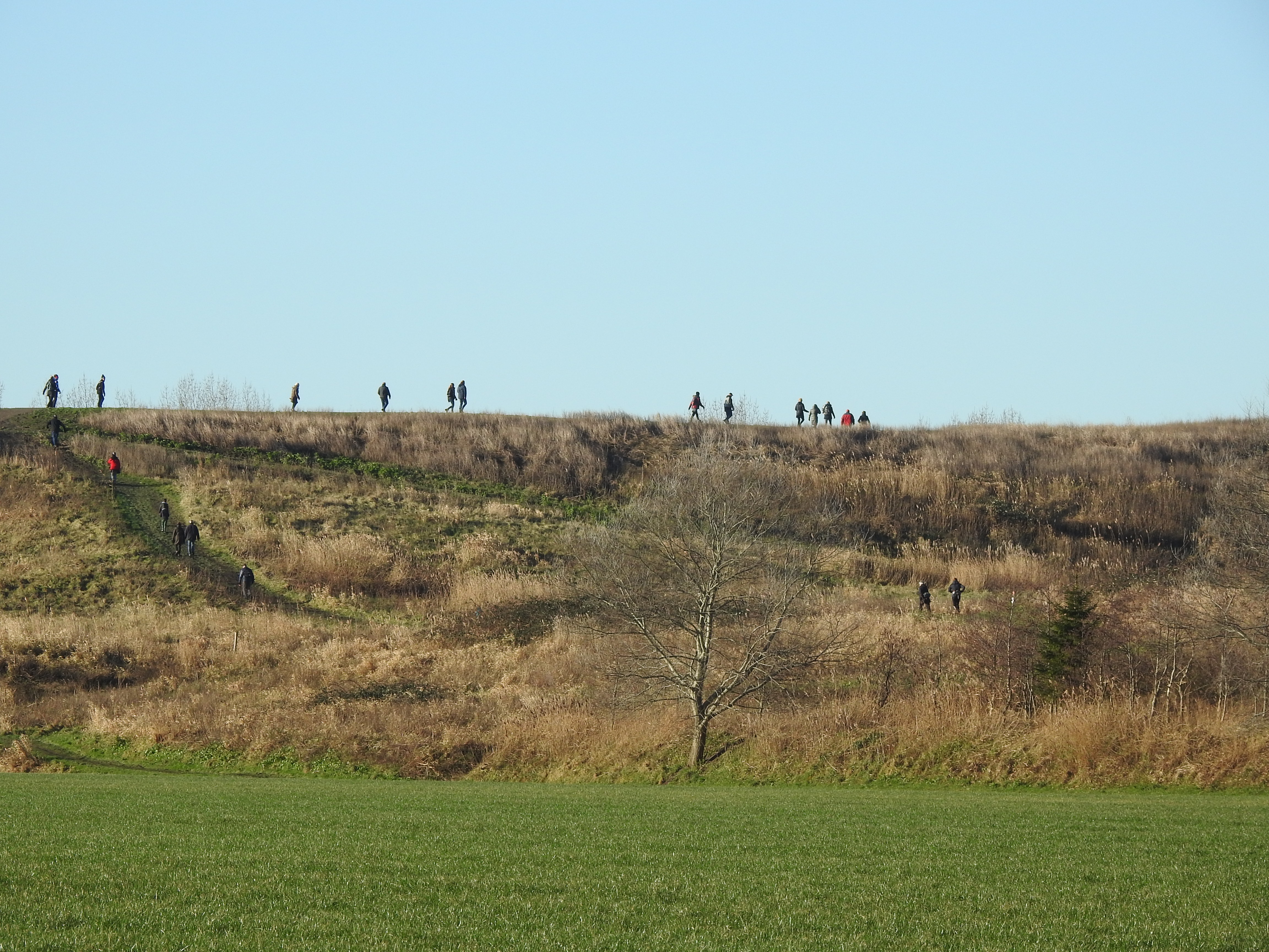 Univé Kale Takken loop gaat weer voor sfeer. (Foto: aangeleverd).