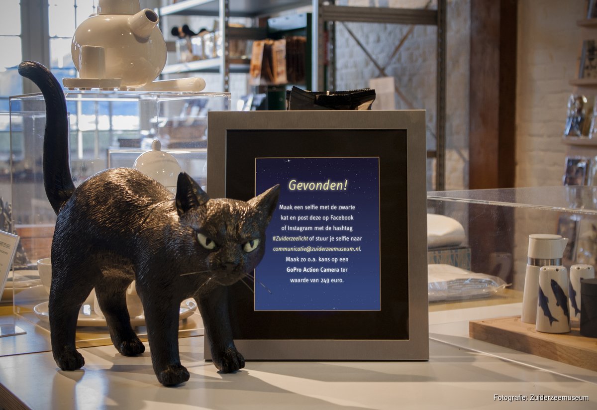 Bij de wedstrijd 'Zoek de zwarte kat' gaat het winkelend publiek op zoek naar een zwarte kat in de deelnemende etalages. (Foto: aangeleverd)