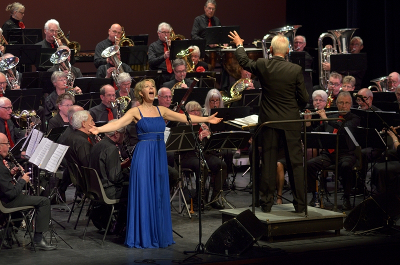 Het Noord-Hollands Ouderen Orkest. (Foto: aangeleverd)