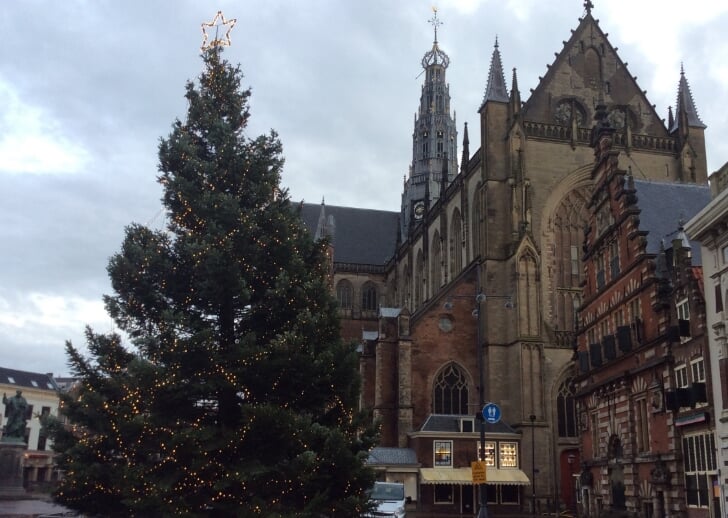 Kerstboom Haarlem Grote Markt