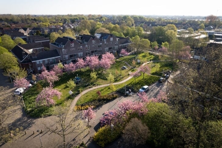 Alkmaar wint green cities award