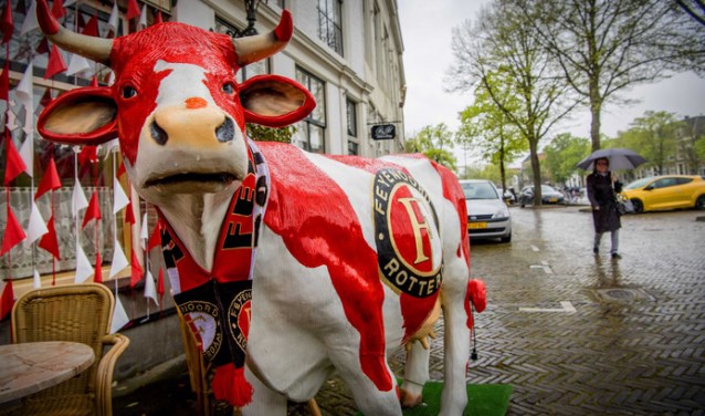 De Feyenoordkoe, welke al ruim een half jaar straalt voor het pand van café Dixi aan het Maarland