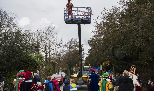 In Tinte durfde de 'Zielenpiet' vanwege 'laagtevrees' niet uit het bakje van zijn 'verreiker' te komen...* Foto: Jos Uitjdehaage.