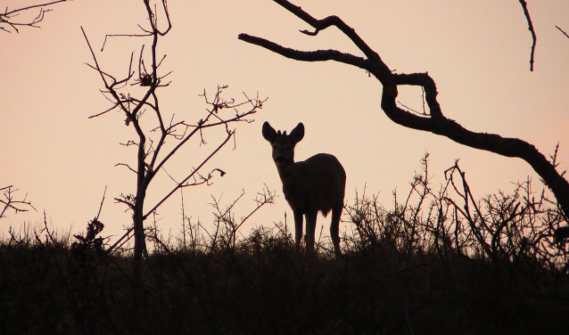 Foto Natuurmonumenten, Erik Rausch