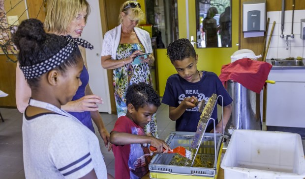 Kinderen mochten onder andere honing 'oogsten'.