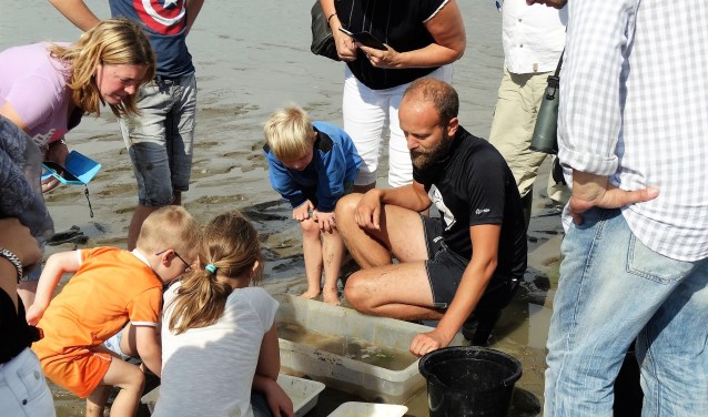Het Haringvlietweekend is een vervolg op de succesvolle Haringvlietdag in 2016