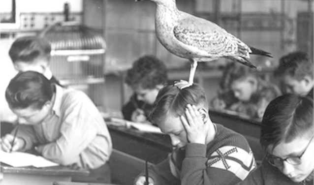 De bijzondere wijze van lesgeven in de vogelklas van Karel Schot