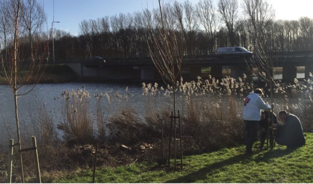 Symbolische terugplantactie van drie wilgen door de Nissewaardse VVD vlak nadat de kaalslag plaatsgevonden had.