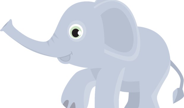 De VVD verwees naar de parabel van de olifant.