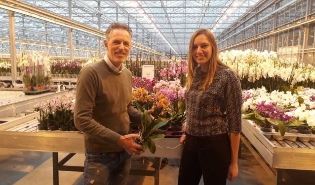 Student Isis de Wit van Has Den Bosch liep een dag mee met Eduard Ter Laak van Ter Laak Orchids.