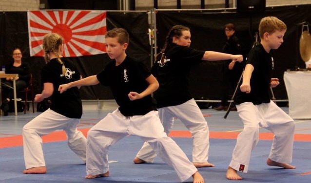 De deelnemers gaven demonstraties in verschillende disciplines