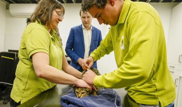 Het inbrengen van de chip is snel gebeurd.