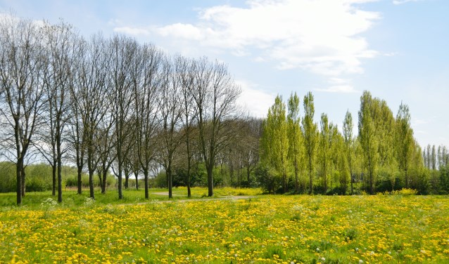 In het voorjaar is het Bernissegebied vol kleur.