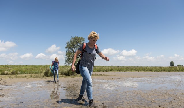 De struintocht voert door de Wildernis: het minst toegankelijke gebied van het eiland met slikken en moerassen.