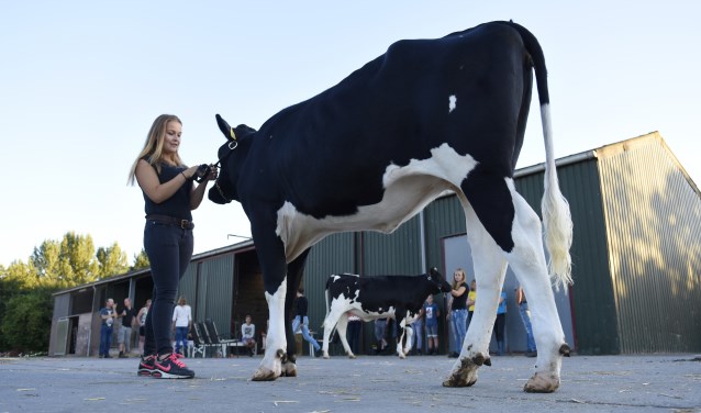 Laura (voorgrond) en haar zusje Emma Poot (achter) uit Rockanje oefenen voor het showmanship kampioenschap