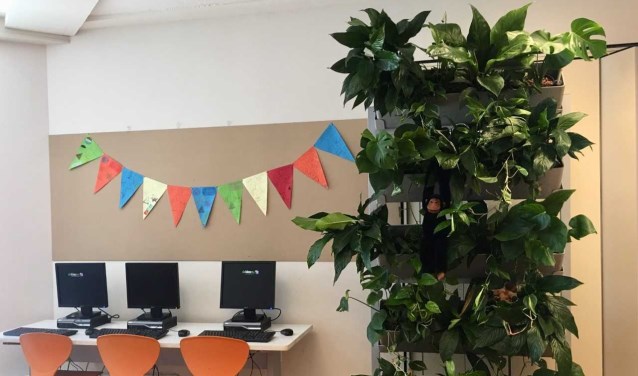 Vijf Westlandse scholen gaan hun klassen vergroenen met planten. Foto: (PR)