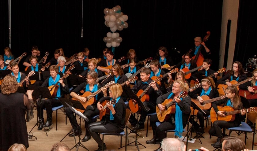 Zij geven les in mandoline en akoestische gitaar voor iedereen vanaf 8 jaar, dus ook volwassenen