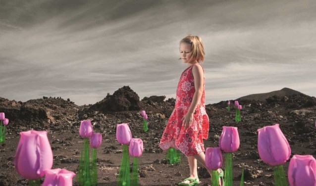 Van Waveren is een kroniek van een Hollandse tulpenfamilie, gebaseerd op waargebeurde verhalen.