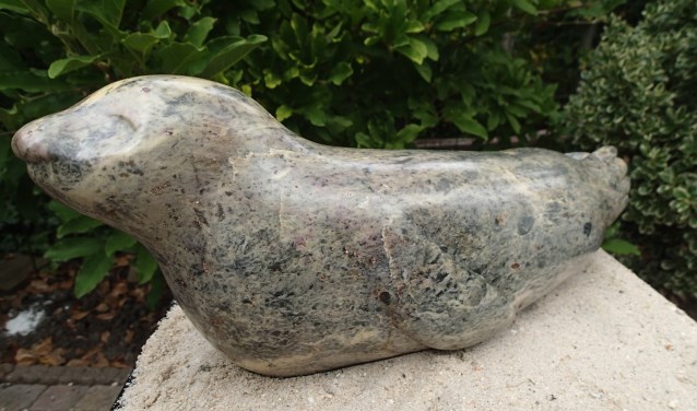 Zeehond