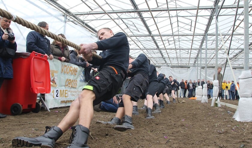 Er werden weer heel wat spierkracht en zweetdruppels geofferd bij het touwtrekken in Vierpolders. (Foto: Wil van Balen).