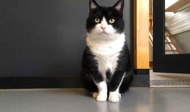 Boots is nog wat onzeker