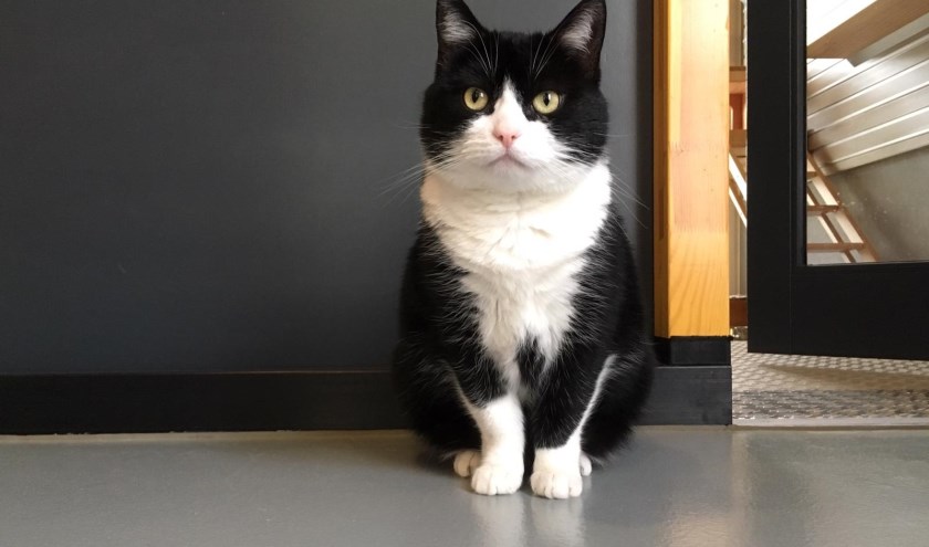 Boots is nog wat onzeker