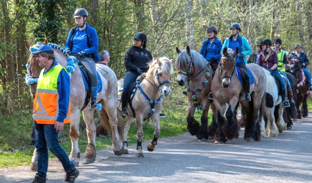 De Lenterit van het Trekpaarden Team Rockanje trok veel bekijks. (Foto: Jos Uijtdehaage).