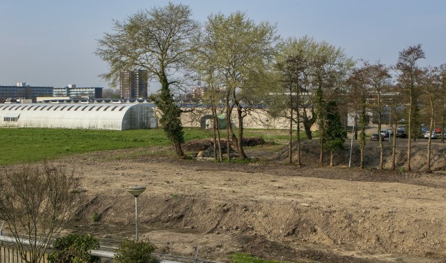 De paar bomen die er nog staan bieden een treurige aanblik