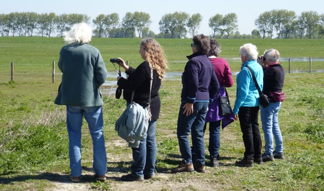 Demonstraties en workshops; van zaadbommen maken, tot braakballen pluizen en een heuse proeverij met lekkers uit de natuur.