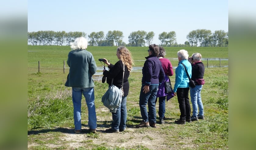 Demonstraties en workshops; van zaadbommen maken, tot braakballen pluizen en een heuse proeverij met lekkers uit de natuur.