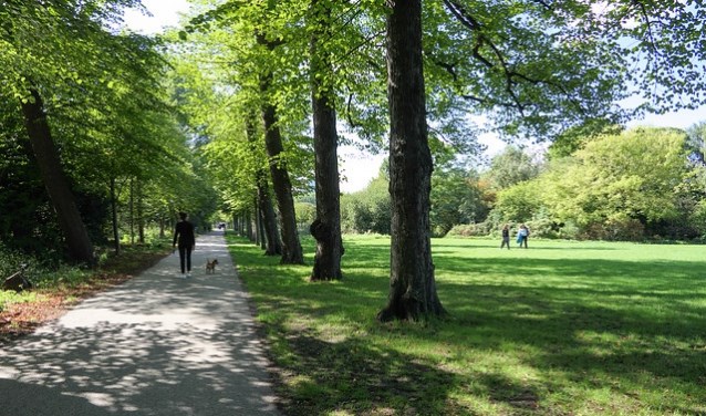 Groen brengt verkoeling en zorgt ervoor dat we ons prettig voelen in een stad. Met het veranderende klimaat keert groen sinds jaren weer terug in het stadsbeeld. (Foto: Groene Steden voor een duurzaam Europa)