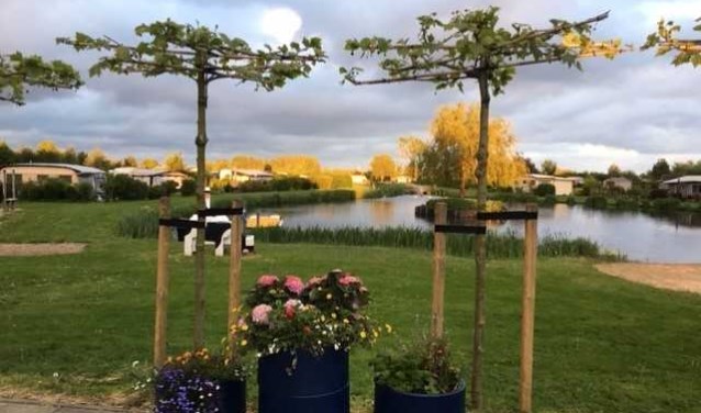 Maak kennis met naaktrecreatie bij De Brongaard