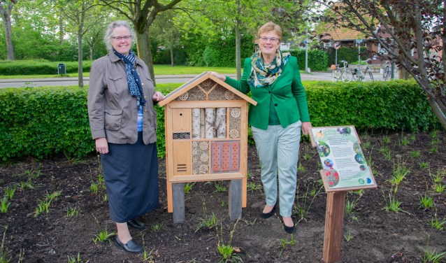 Wethouder Tea Both-Verhoeven mocht samen met dorpsraadvoorzitter Anne-Karin Guijt het eerste officiële bijenhotel openen in Nieuwe-Tonge. Foto: Sam Fish