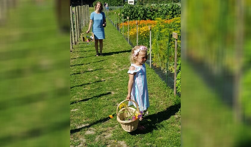 De pluktuin aan de Bollaarsdijk in Oostvoorne is vanaf heden geopend voor publiek