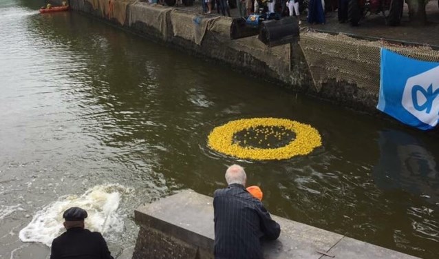 2500 badeenden worden om 11.30 uur te water gelaten voor een race in de Goereese haven. De eerste 10 eenden hebben prijs.