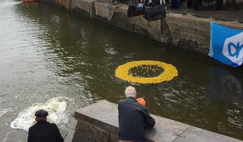 2500 badeenden worden om 11.30 uur te water gelaten voor een race in de Goereese haven. De eerste 10 eenden hebben prijs.