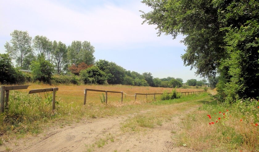 "Dit authentieke zandwallenlandschap verdient alle steun om behouden te blijven." (Foto: Dorien Kickert)