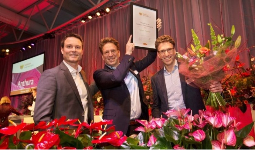Anthura won de vorige editie.
