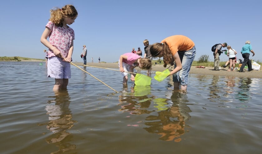 Ontdek samen met de boswachter welke dieren er leven op de grens van land en water. (Foto: Martin van Lokven)