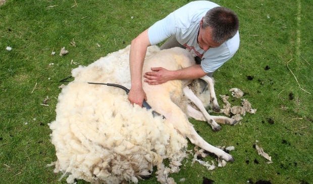 Afbeelding