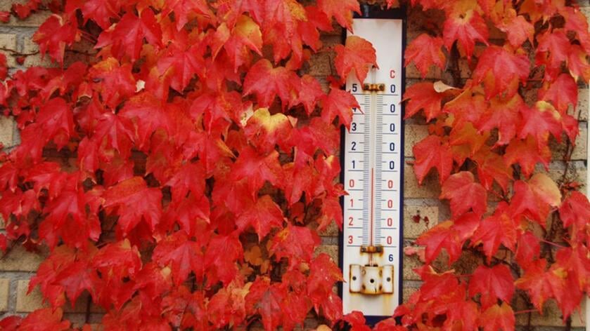 GGD Zeeland waarschuwt voor oude thermometers en barometers in huis
