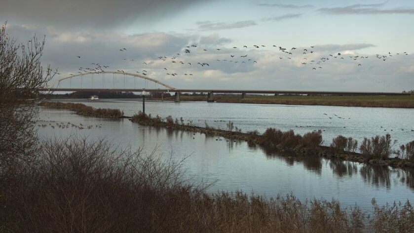Ook in het Schelde-Rijnkanaal stijgt het water, maar geen reden tot paniek