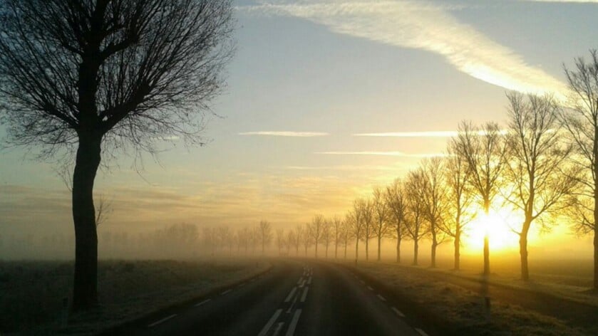 Recordwarme eerste tien dagen van 2023: 'Gemiddeld 9,3 graden in De Bilt'