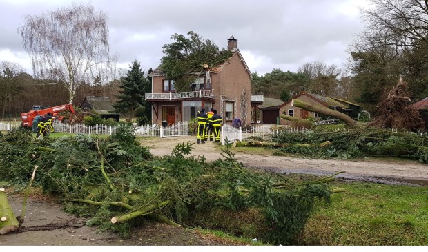 [FOTOALBUM] Storm houdt flink huis in gemeente Zundert Zundert