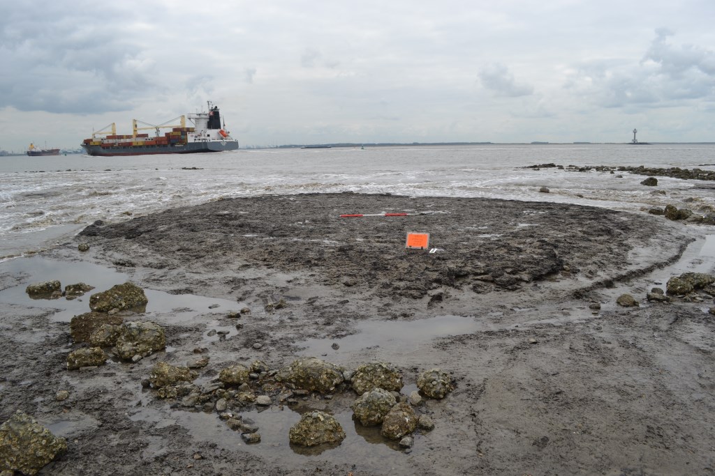 Vermoedelijke rest van een laatmiddeleeuwse kleine (woon?)terp van opgeworpen veenplaggen. De boeggolven van de scheepvaart vullen de omringende sloot met water. FOTO STICHTING CULTUREEL ERFGOED ZEELAND